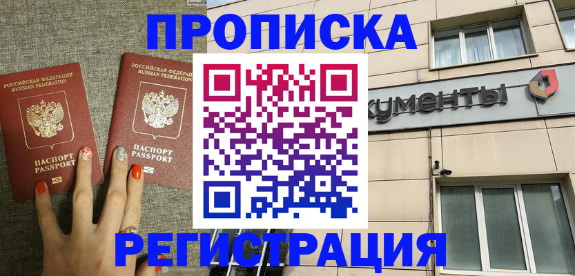 прописка в Дмитрове